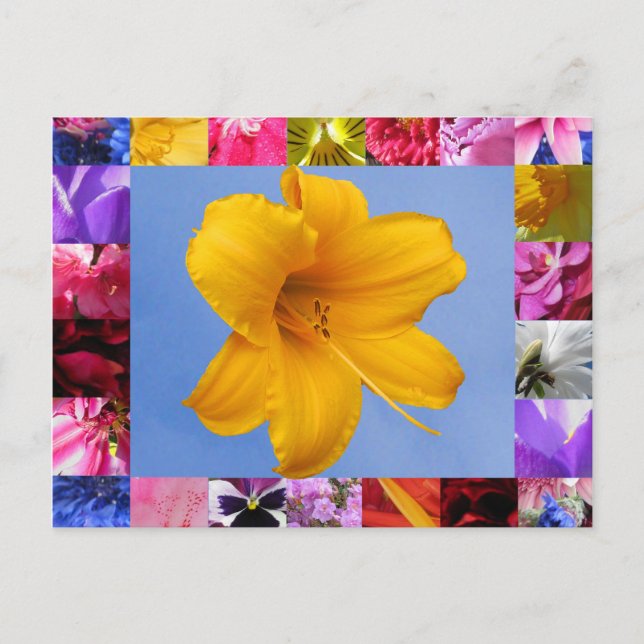 Feier der Postkarte des Frühlings (Vorderseite)