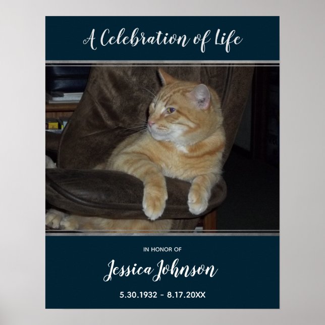 Feier des Einstiegs in das Leben - Ein Foto Poster (Vorne)