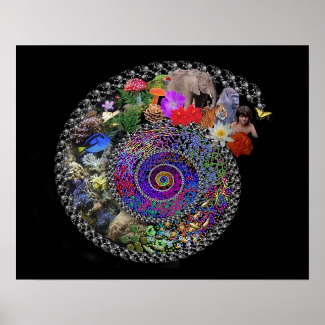 Feierliche Evolution Poster (Vorne)