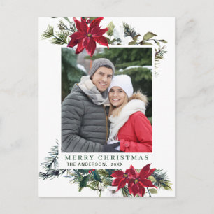 Feierliche Rote Poinsettia Weihnachtsfeiertag Postkarte