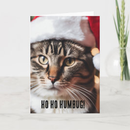 Feierliche Tabby Karte