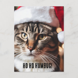 Feierliche Tabby Postkarte