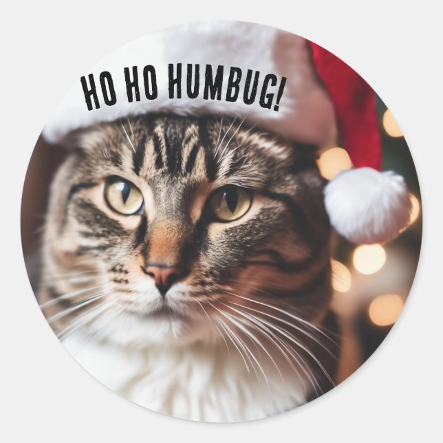 Feierliche Tabby Runder Aufkleber (Vorderseite)