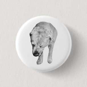 Feierlicher Augenzwinkern, Abzeichen aus schattige Button