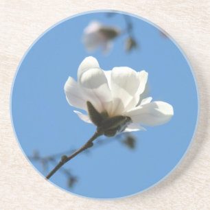 Feierlichkeiten Frühling Untersetzer White Magnoli