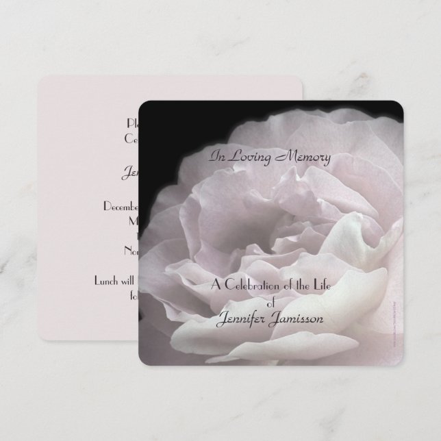 Feierlichkeiten zum Leben Platz in blass rosa Rose Einladung (Vorne/Hinten)