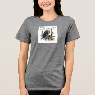 Feiern Sie Amerika 250 #78 Tri-Blend Shirt