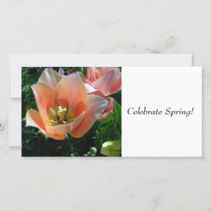 Feiern Sie den Frühling!