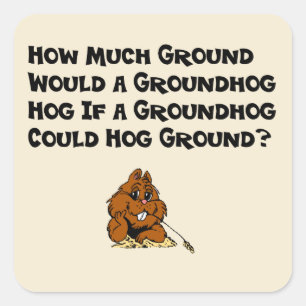 Feiern Sie Groundhog Day-Aufkleber Quadratischer Aufkleber