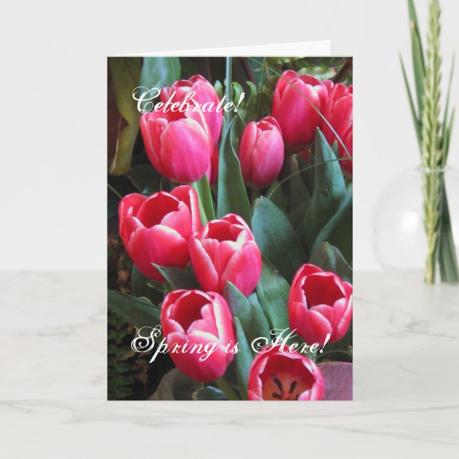 Feiern Sie! , Ist Frühling hier! Feiertagskarte (Vorderseite)