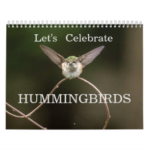 Feiern wir Hummingbirds Kalender