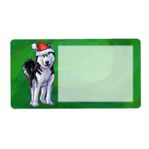 Feiernder Husky in Weihnachtsmannmütze auf Green