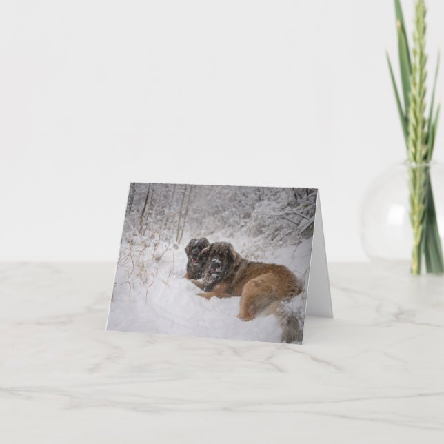 Feiertag Feiertagskarte (Vorderseite)