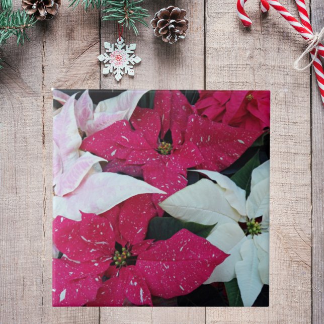 Feiertag Poinsettias Floral Fliese (In Situ Holiday)