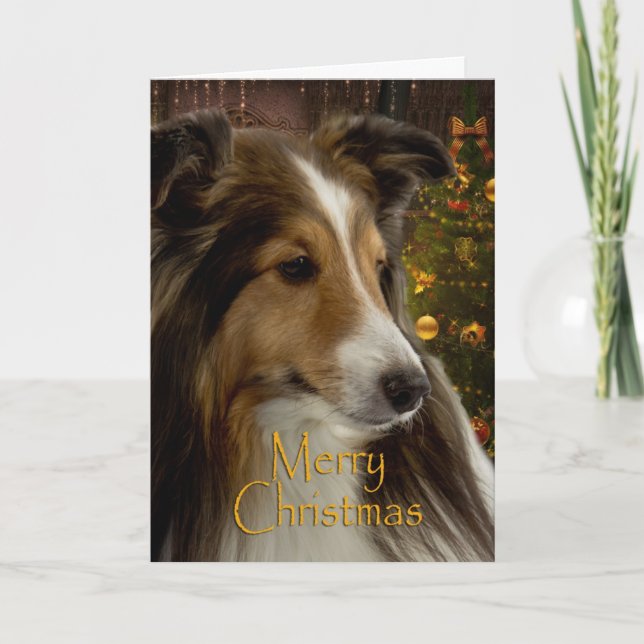 Feiertag Sheltie Weihnachtskarte Feiertagskarte (Vorderseite)