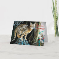 Feiertags-bengalische Katzen-Gruß-Karte