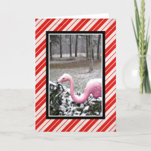Feiertags-Grüßkarte Flamingo Feiertagskarte
