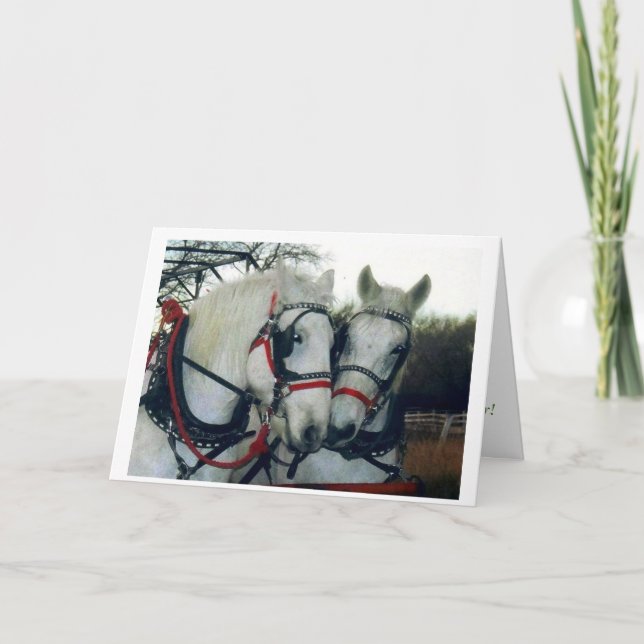 Feiertags-Karte 2010 Feiertagskarte (Vorderseite)