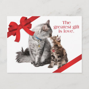Feiertags-Katzen-Postkarte Feiertagspostkarte