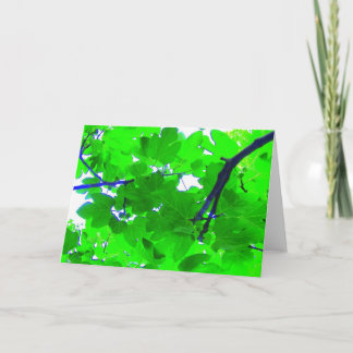 Feigenbaum-Blätter Karte