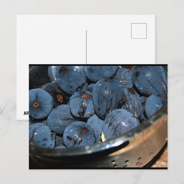 Feigenfrucht im Sieb Postkarte (Vorne/Hinten)