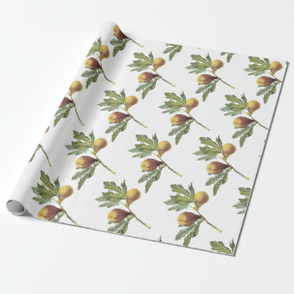 Feigenmuster Geschenkpapier