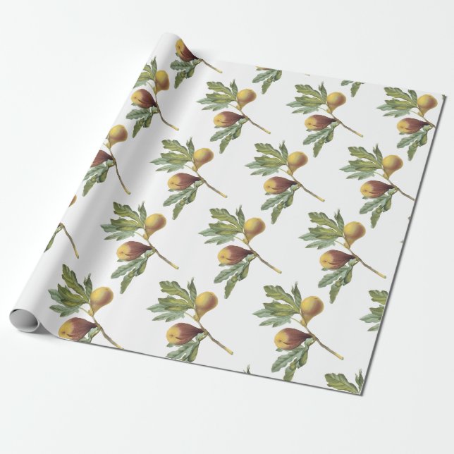 Feigenmuster Geschenkpapier (Ungerollt)