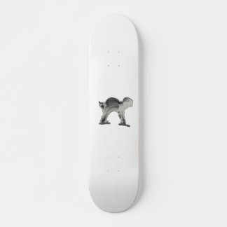 feindliche Katze Skateboard