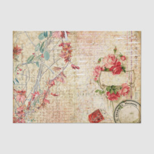 Feine rosa Blume und Rose Seidenpapier