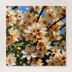 Feine weiße und pfirsichfarbene Blüten