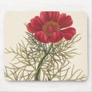 Feiner Leaved Paeony Mousepad