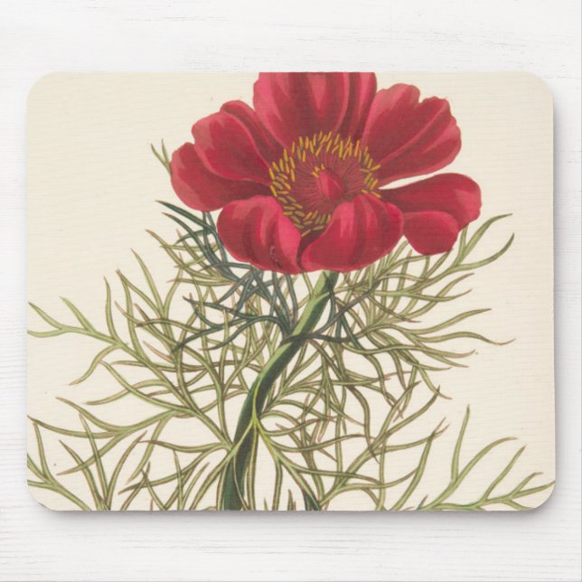 Feiner Leaved Paeony Mousepad (Vorne)