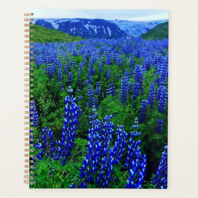 Feld Blume Planer (Vorderseite)