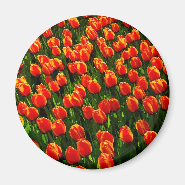 Feld Bright Orange Tulips - Wasserfarbene Kunst Magnet (Vorne)