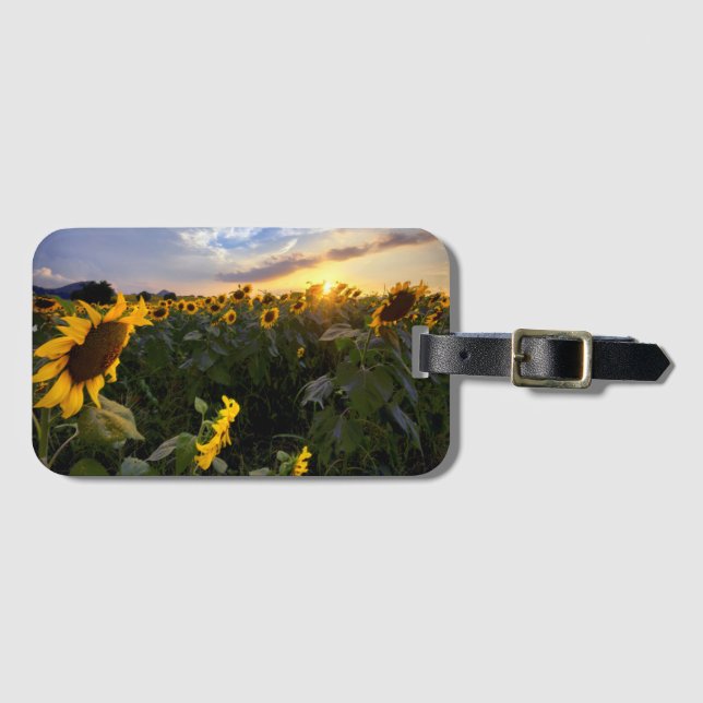 Feld der blühenden Sonnenblumen Gepäckanhänger (Vorderseite (Horizontal))