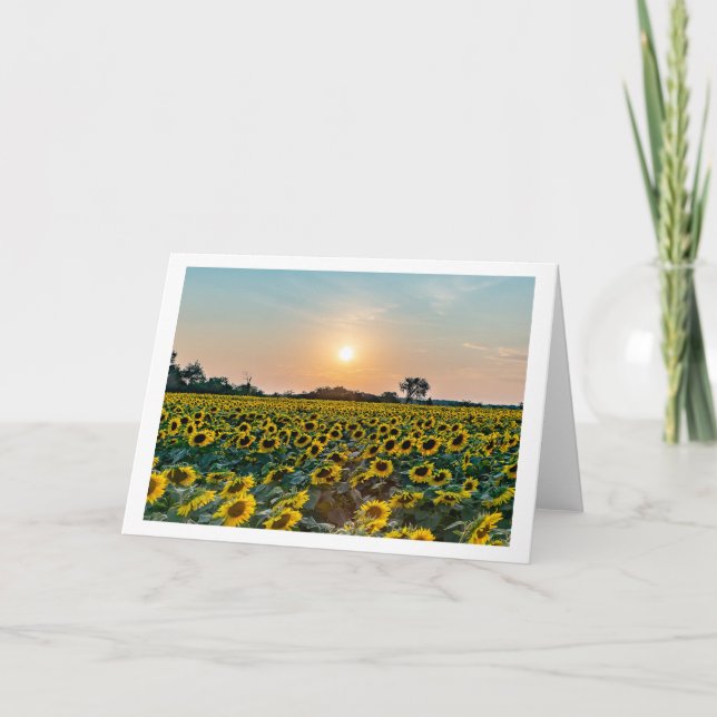 "Feld der Blume" gefaltete, leere Grußkarte Karte (Vorderseite)