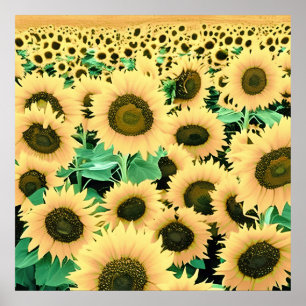 Feld der goldgelben Sonnenblumen Poster