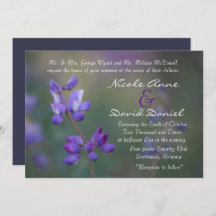 Feld der horizontalen Lupine