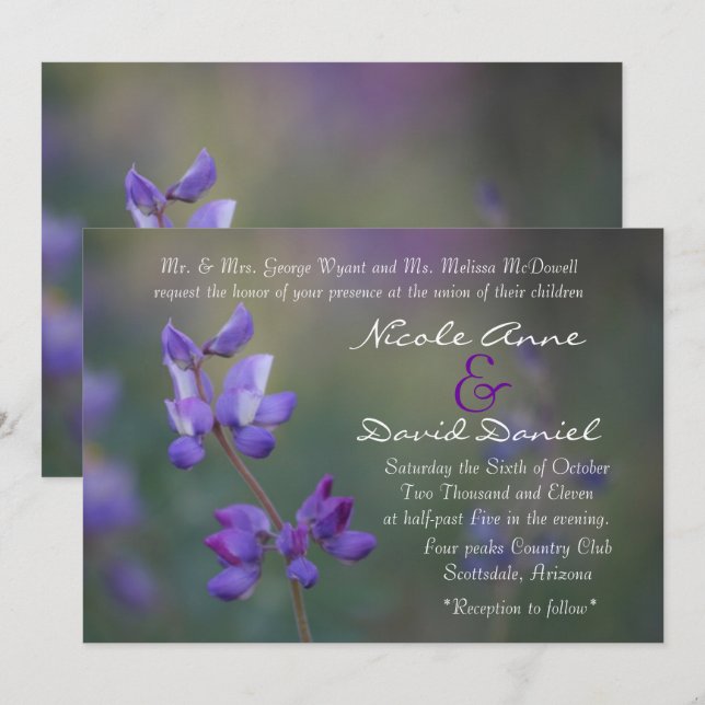 Feld der horizontalen Lupine Einladung (Vorne/Hinten)