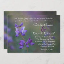 Feld der horizontalen Lupine