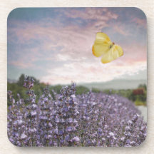Feld der Lavendel-Blume, Blauer Himmel, rosa Sonne