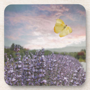 Feld der Lavendel-Blume, Blauer Himmel, rosa Sonne Getränkeuntersetzer