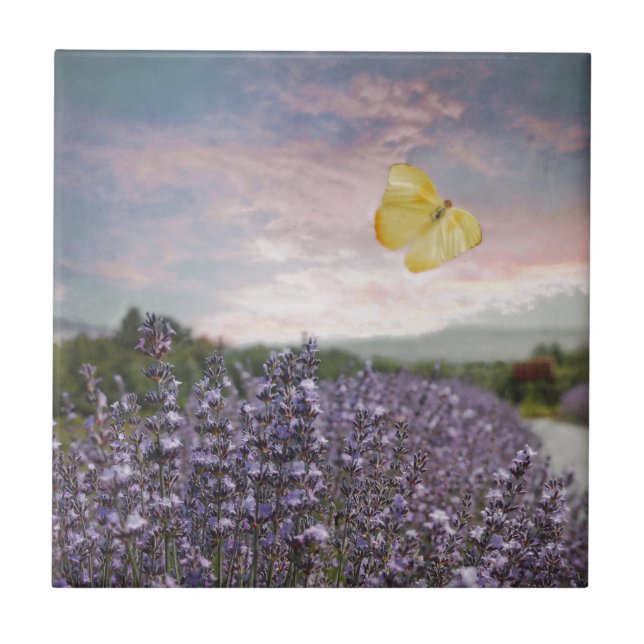 Feld der Lavendel-Blumen, blauer Himmel, rosa Fliese (Vorderseite)