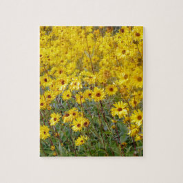 Feld der lebhaften gelben Blumen