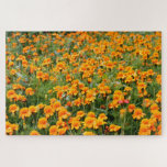 Feld der marigalten Blume schwierig<br><div class="desc">Hast du viel Zeit,  um zu töten? Nun,  dieses Puzzle kann in dieser Hinsicht sicherlich helfen! Verfügt über ein Foto eines Feldes mit orangefarbenen Blume - eine große Herausforderung für die Lösung des Rätsel.</div>