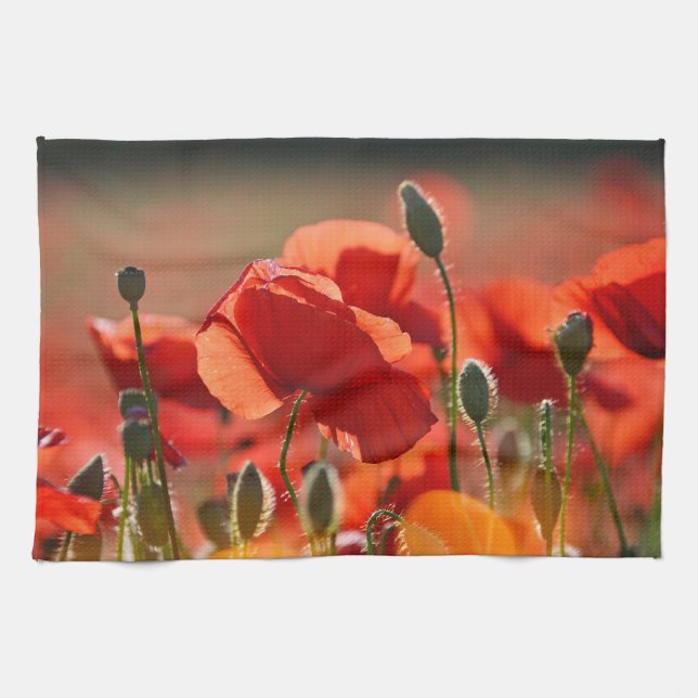 Feld der Mohnblumen Geschirrtuch (Horizontal)