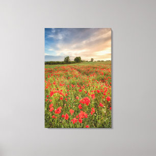 Feld der Mohnblumen Leinwanddruck