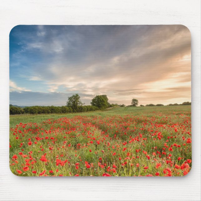 Feld der Mohnblumen Mousepad (Vorne)