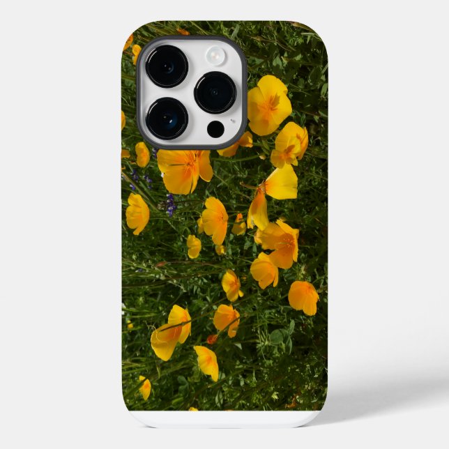 Feld der Poppies iPhone Case (Rückseite)