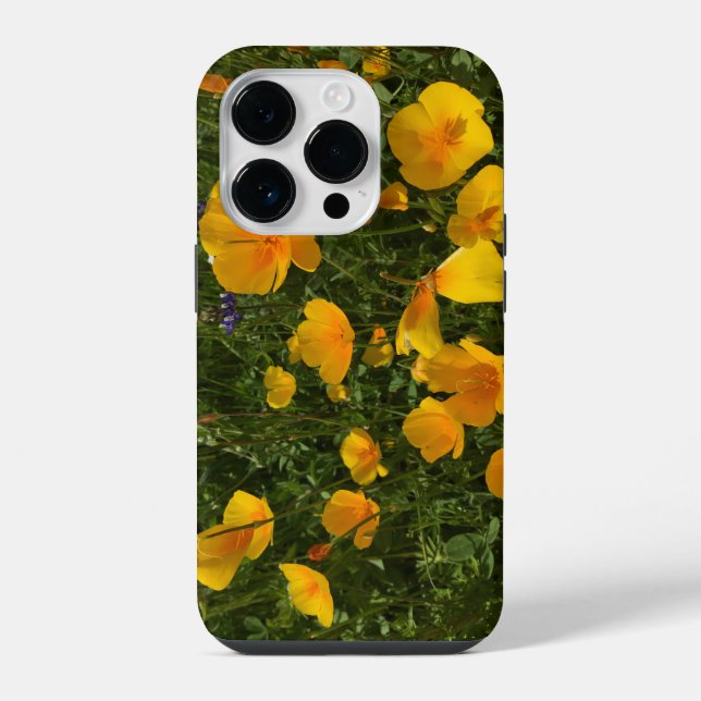 Feld der Poppies iPhone Case 14 Pro Hülle (Rückseite)